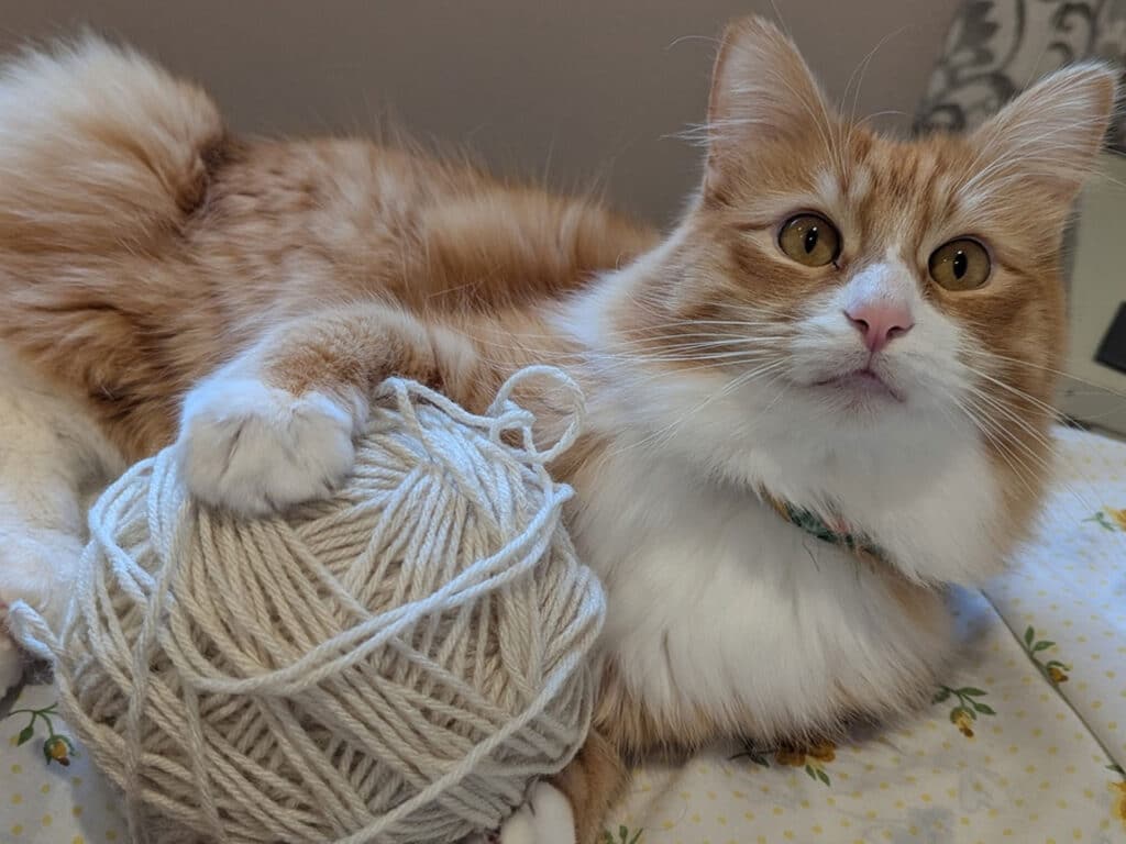 An orange and white cat resting on a floral-patterned blanket, with a large ball of beige yarn beside it. The cat is looking directly at the camera, with its ears perked up and a curious expression.