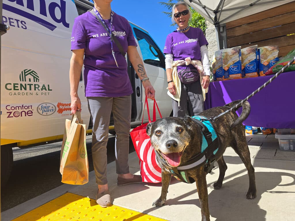 Two individuals wearing purple shirts stand beside a van marked 'Central Garden & Pet.' One person holds shopping bags while a black dog with a harness sits in front, looking at the camera. The background includes bags of pet supplies.