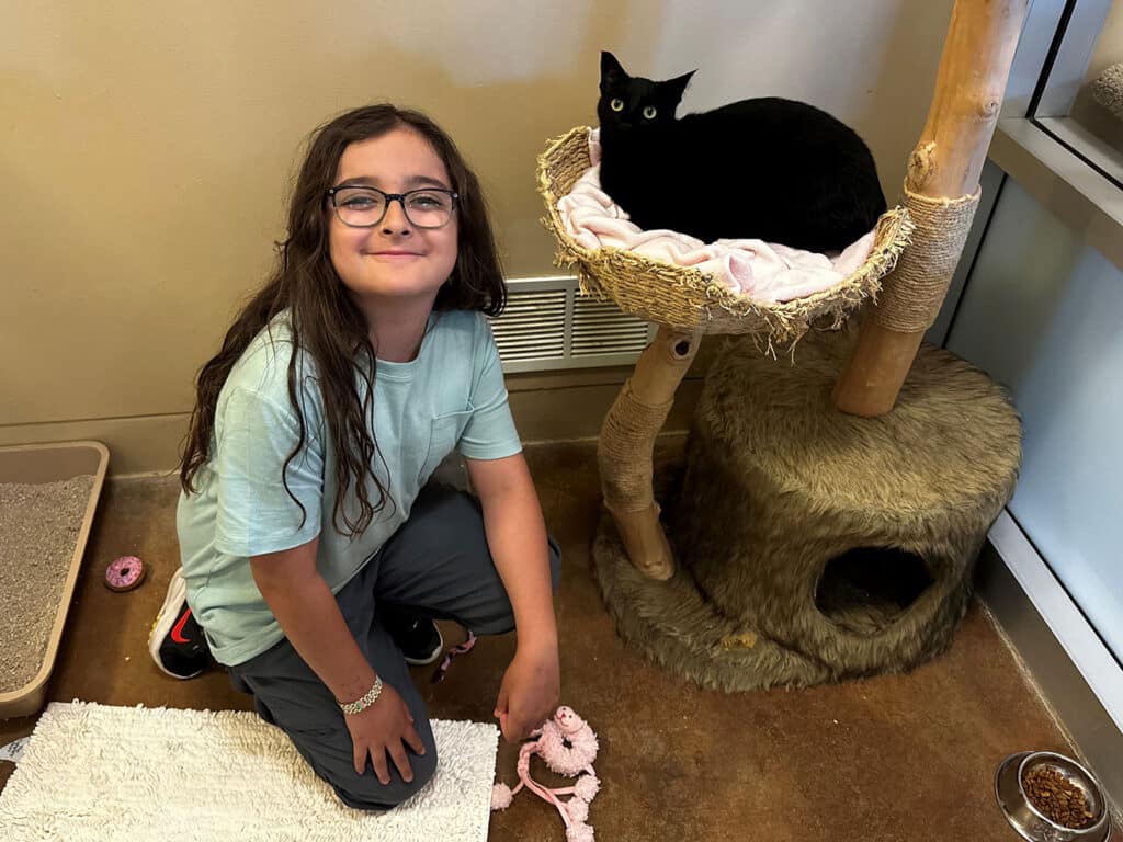 A girl with long hair and glasses smiles while kneeling on the floor next to a cat tree in an animal shelter. A black cat sits on the perch above her, observing. The space features a rug and a soft blanket.