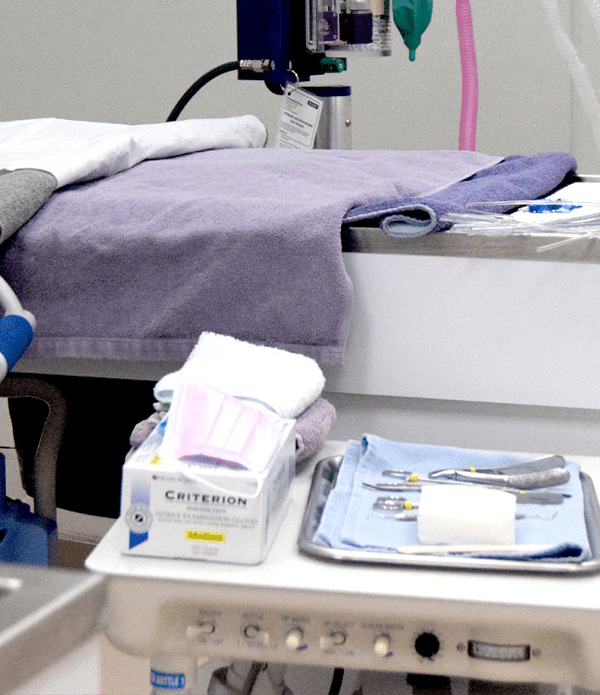 A veterinary examination table covered with clean towels, accompanied by medical instruments and supplies, is visible in a clinical setting. This environment supports the services provided by the affordable spay neuter clinic.