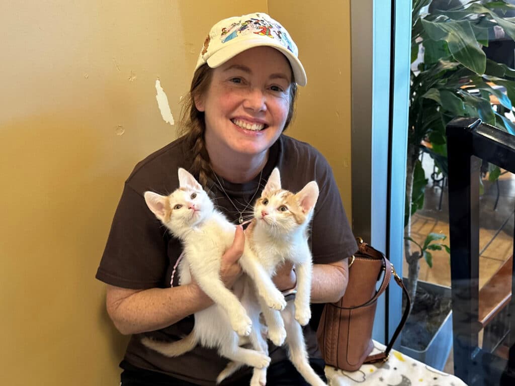 A woman wearing a cap sits against a yellow wall, holding two white kittens in her arms. The kittens have light orange markings on their heads. The setting includes a glimpse of greenery and indoor decor.