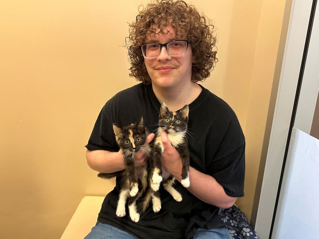 A young man with curly hair and glasses sits on a bench holding two kittens. Both kittens are black with white patches, one in each of his hands. The background features a light-colored wall, creating a neutral setting for the scene.