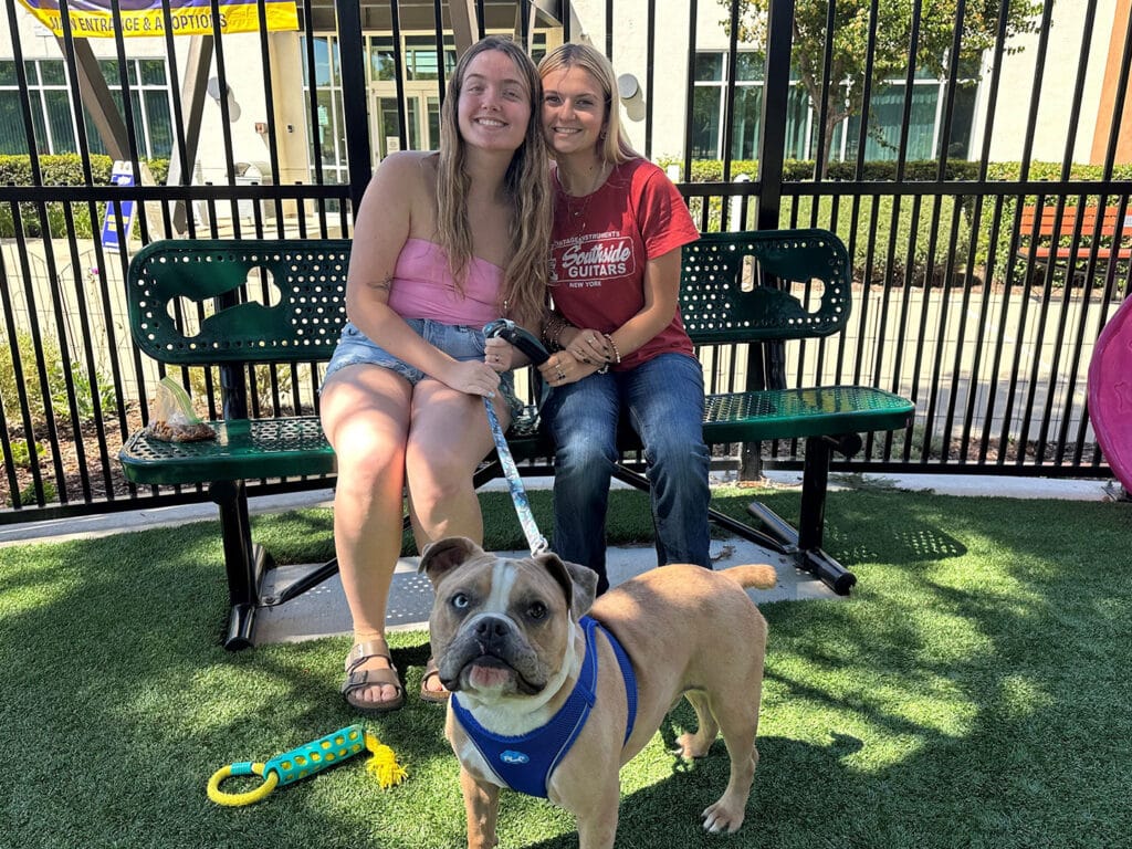 Two women sit on a green park bench, smiling at the camera. One woman wears a pink tank top and shorts, while the other has on a red shirt and jeans. A brown dog with a blue harness stands in front of them on grass.