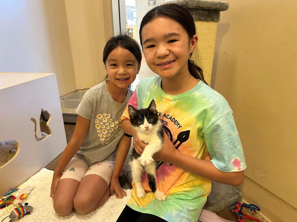 Two children sitting on a soft surface in a cozy room. One girl is holding a small black and white kitten, while the other girl smiles beside her. Various cat toys and a scratching post are visible in the background.