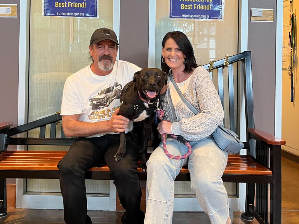 A man and a woman sit on a wooden bench inside an animal adoption center, smiling with a black dog between them. The background features signs reading "Adopt Your Best Friend" on the wall, indicating a pet adoption theme.