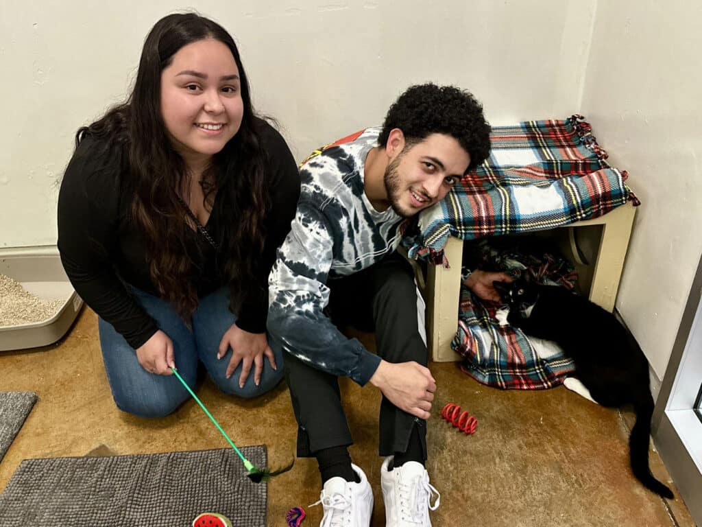 A young woman and a young man are sitting in a pet adoption center, smiling. The man is leaning toward a black and white cat in a small shelter, while the woman holds a green toy. Colorful toys are scattered on the floor.