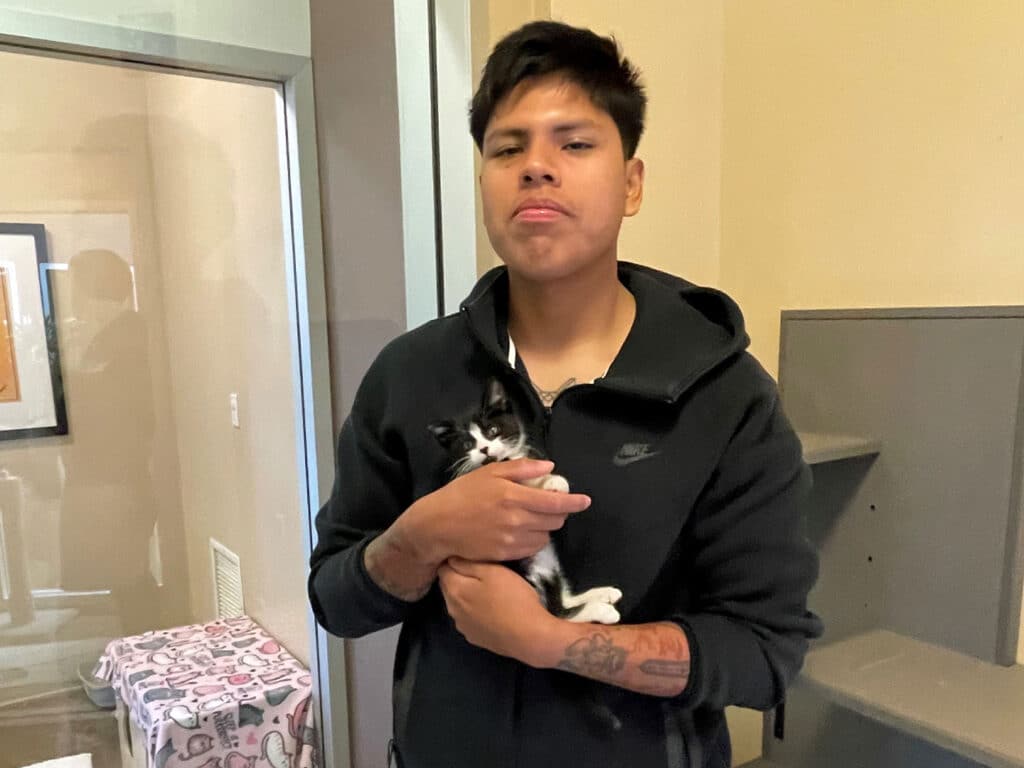 A young man holding a black and white kitten in his arms, smiling softly. He is dressed in a black hoodie and is in a room with a light wall and a stairway visible in the background.