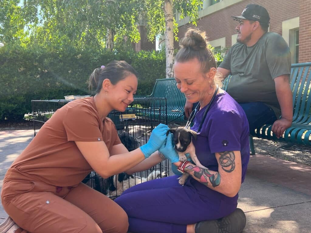 A woman in brown scrubs is administering a vaccine to a small puppy held by another woman in purple scrubs. In the background, a man sits on a bench observing the scene. The setting appears to be outdoors, with greenery visible.