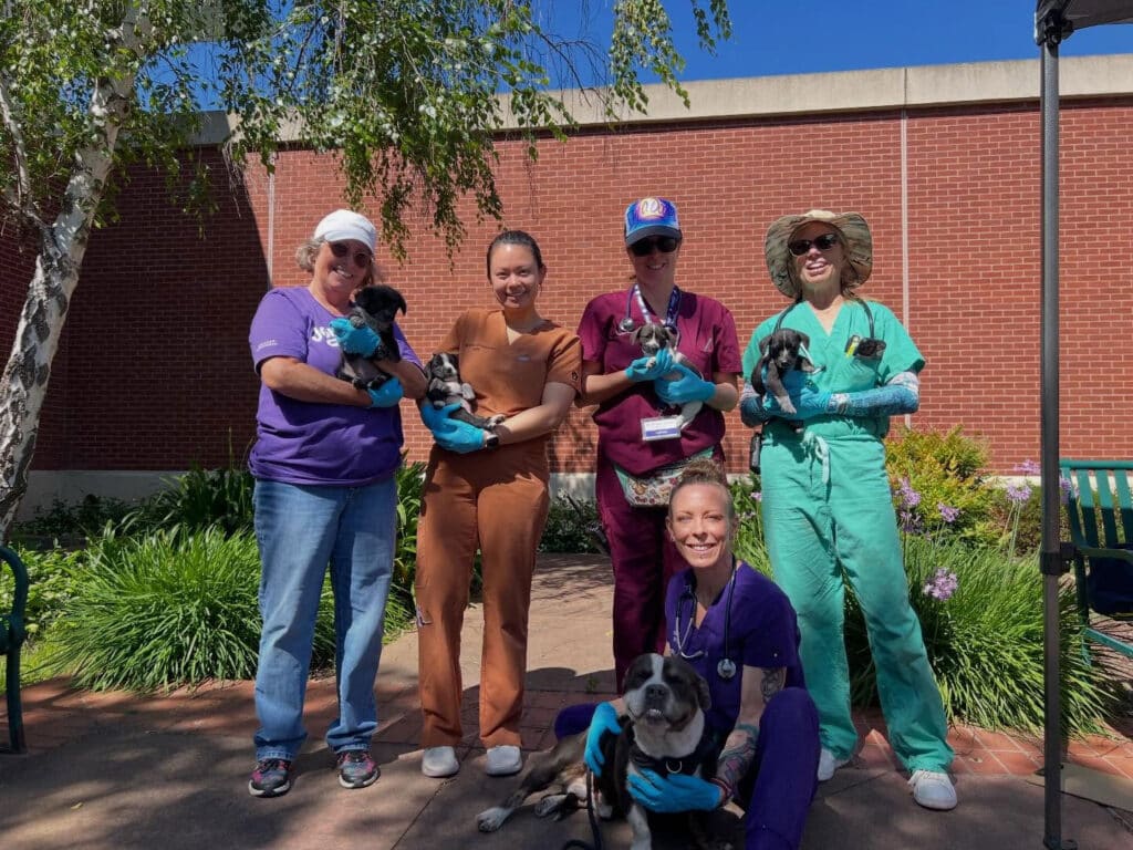 A group of veterinary staff and volunteers holding puppies