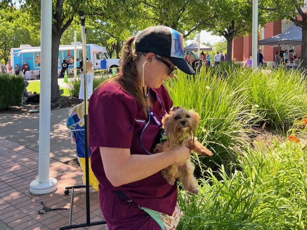 A woman in a burgundy scrubs and a cap is holding a small dog while standing in a green outdoor space with tall grass. Behind her, there are food trucks and tents, indicating a community event.