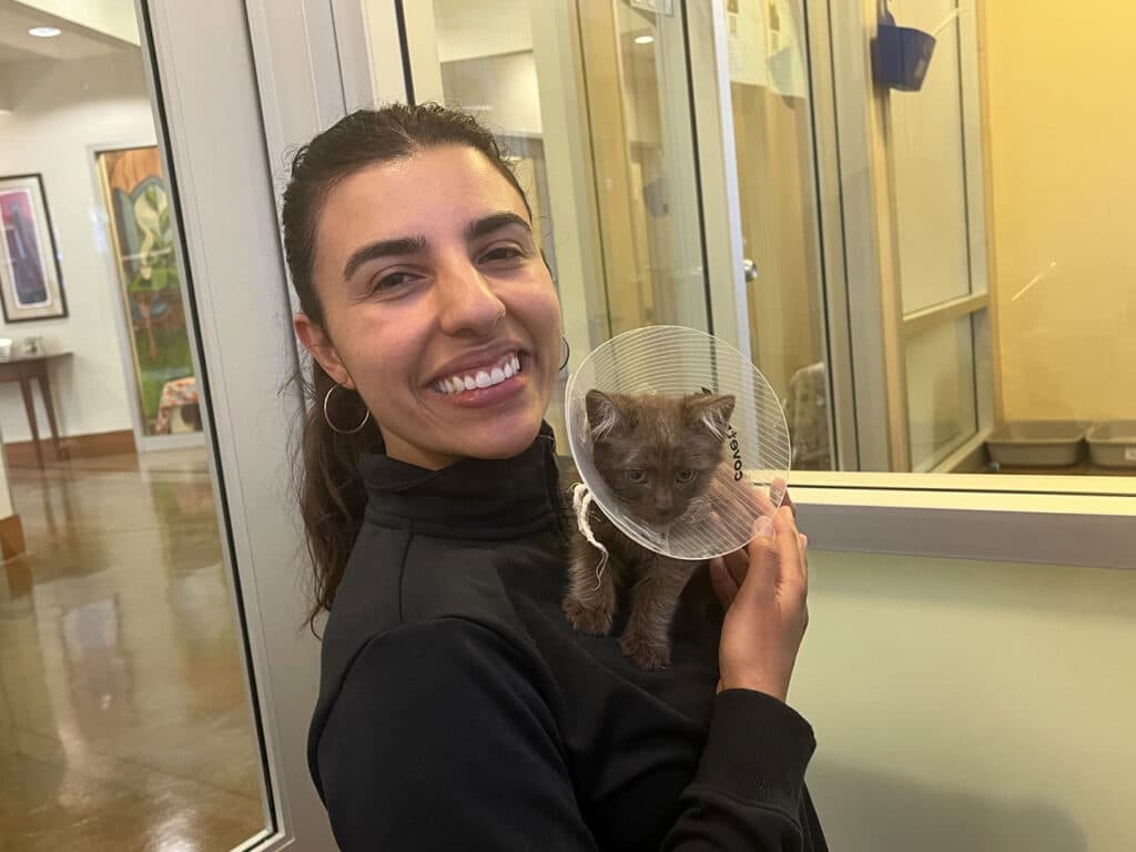 A woman with long dark hair wearing a black top smiles while holding a gray kitten wearing a cone collar. The background features glass walls and a glimpse of veterinary equipment.