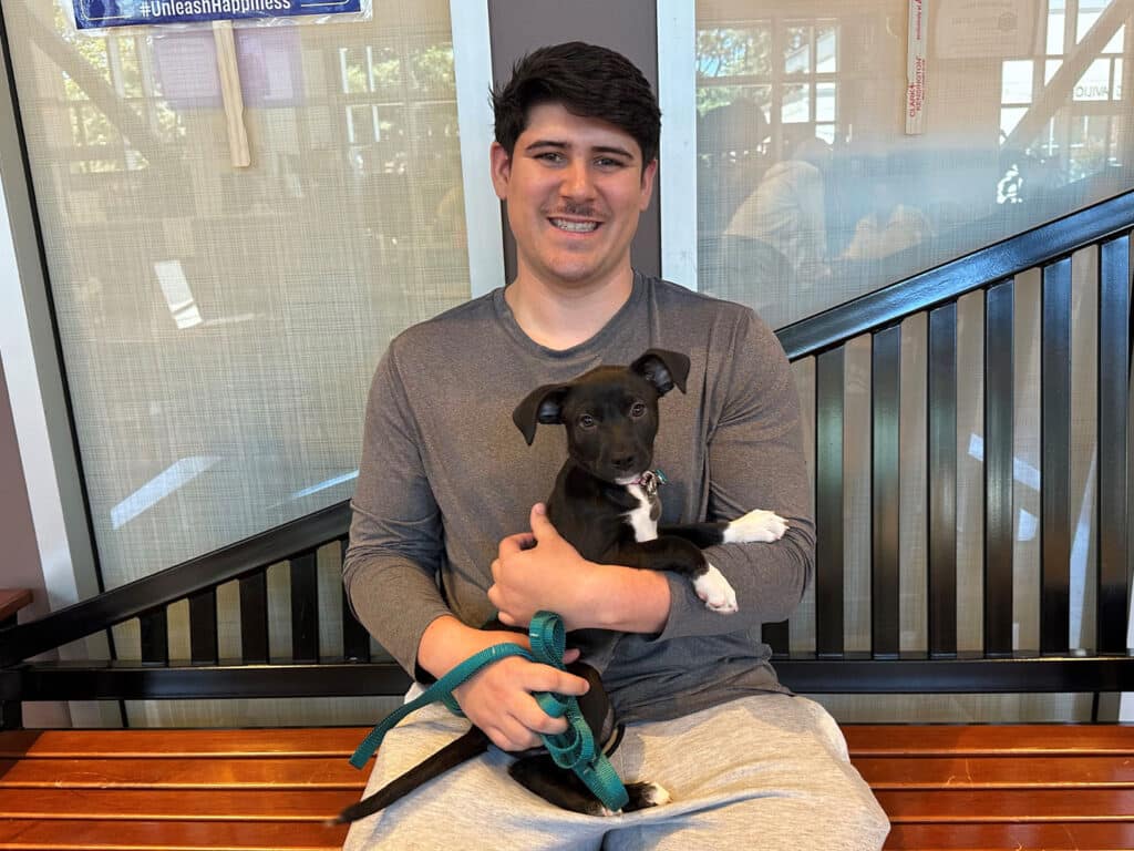 A young man in a gray long-sleeve shirt sits on a wooden bench holding a small black puppy with white paws. The background features a large window letting in natural light.
