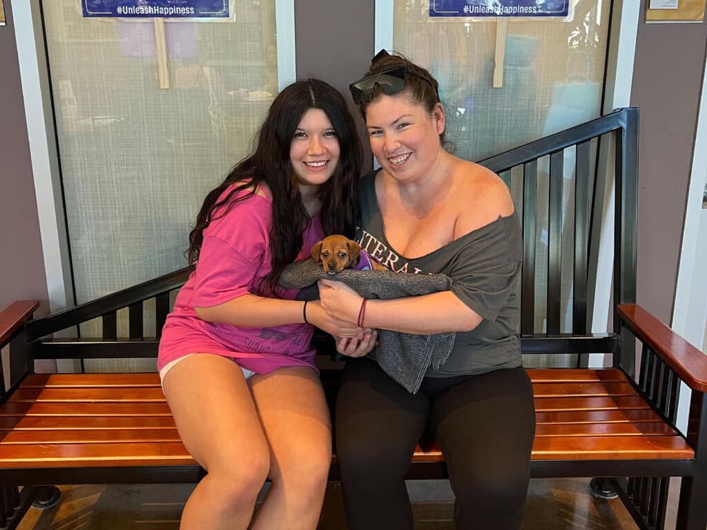 A young woman in a pink shirt and a woman in a black top sit on a wooden bench, both holding a small brown puppy wrapped in a gray towel. The background features a modern interior with large windows and a decorative wall.