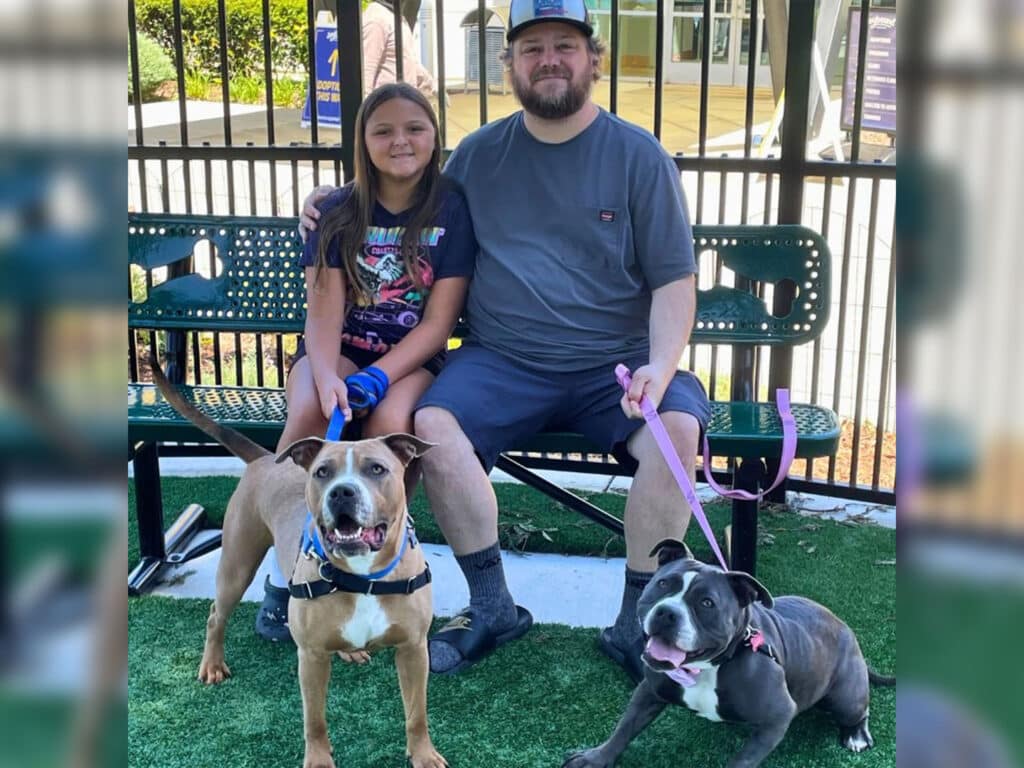A young girl sitting next to a man on a bench in a park holds a dog leash. The man wears a gray cap and a t-shirt. At their feet, two dogs are resting, one tan and the other gray. The background shows greenery and a facility.