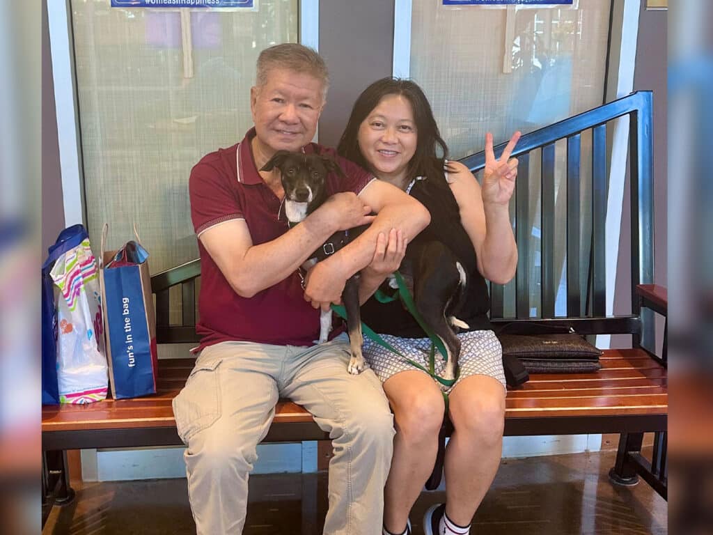 An older man in a maroon polo shirt sits on a wooden bench holding a small black and white dog, while a woman wearing a black top and patterned shorts sits next to him with her arm around the dog. The setting features large windows in the background.