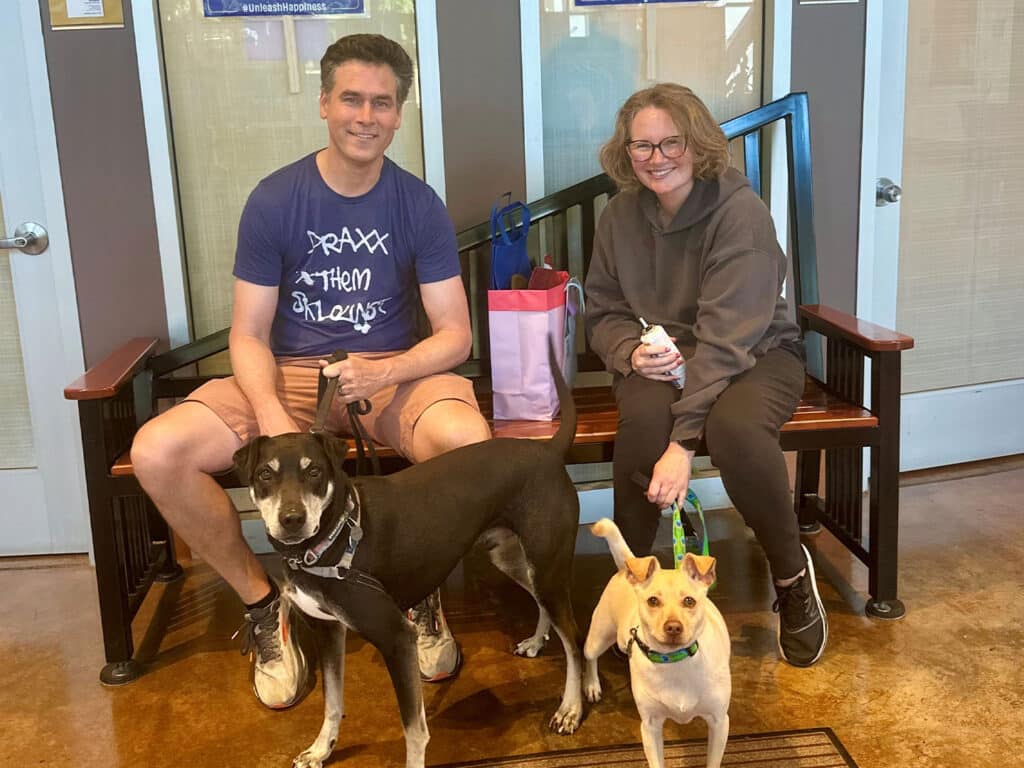 A man sitting on a bench next to a woman is accompanied by two dogs. The man wears a blue shirt with white text and shorts, while the woman in a gray hoodie holds a small object. The dogs are a black and white mixed breed and a tan small breed.