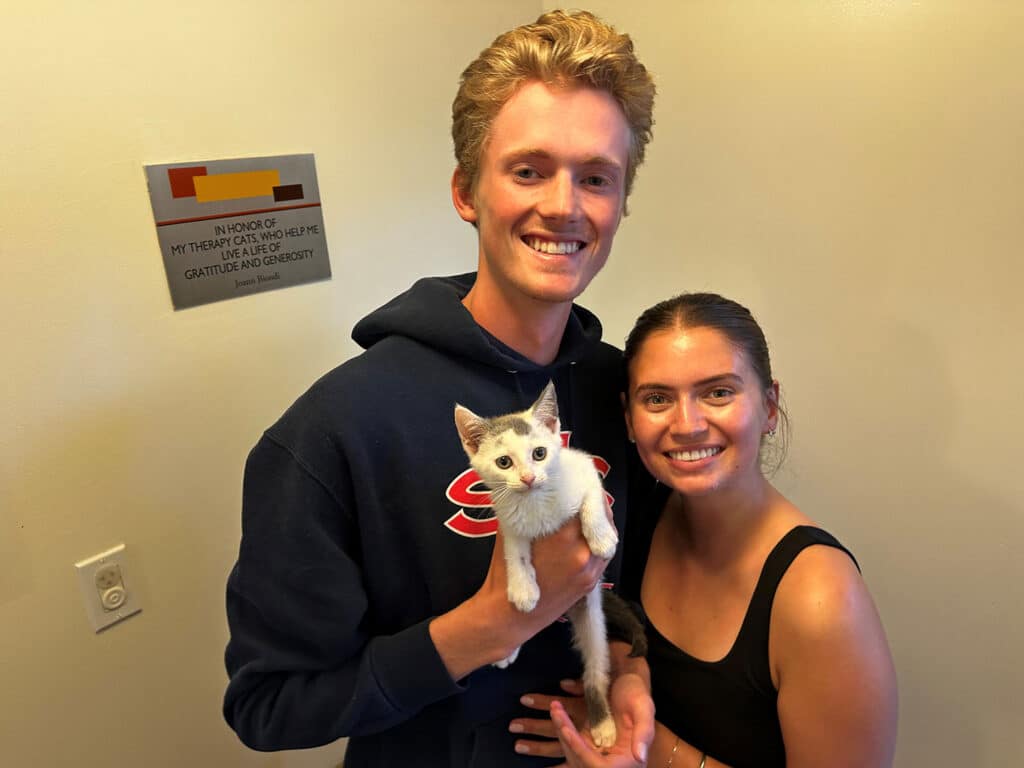 A young man in a blue hoodie and a young woman in a black shirt stand together, smiling while holding a small white kitten. They are positioned in front of a wall with a sign above them, indicating an adoption event.