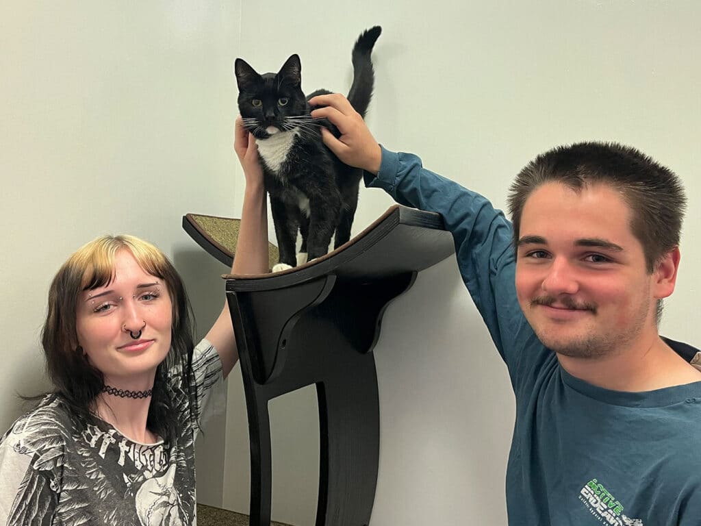 A young woman with dark hair and a graphic shirt stands next to a young man with light brown hair, both smiling. A black and white cat is perched on a wooden table between them, with one of the individuals gently touching it.
