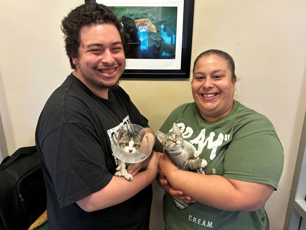A man wearing a black shirt holds a gray and white kitten in a cone collar, while a woman in a green shirt holds a gray kitten. They stand in an indoor setting with a framed picture on the wall behind them.
