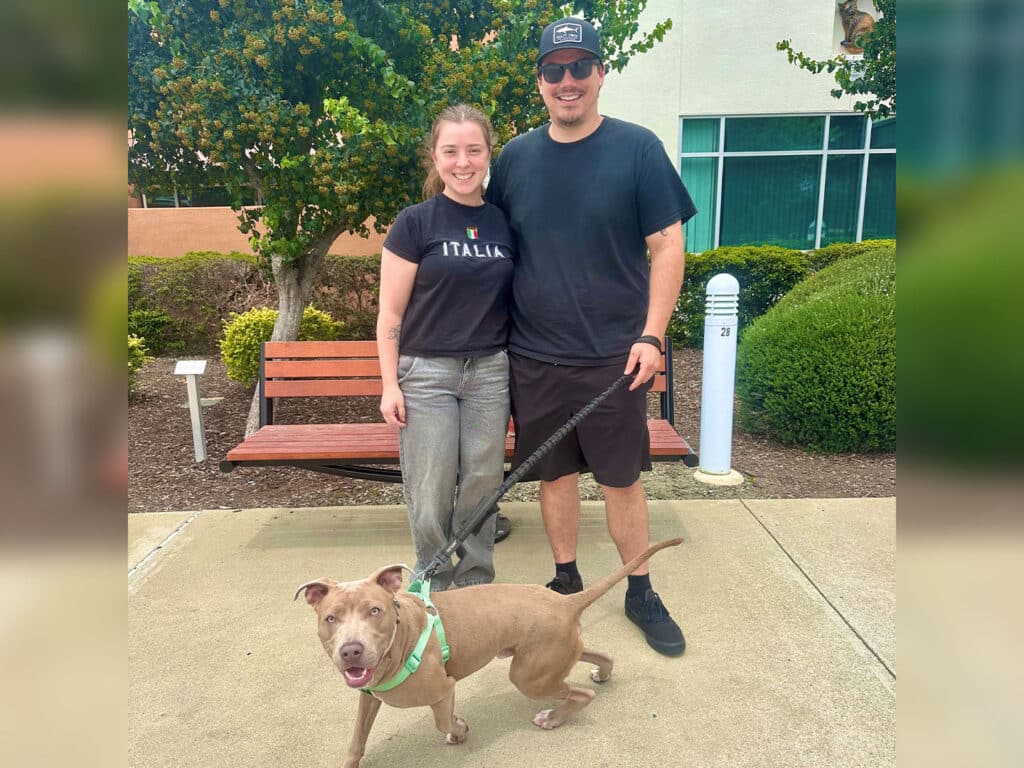 A man and a woman stand on a path beside a brown dog wearing a green harness. The woman is dressed in a black shirt and gray pants, while the man is wearing a black t-shirt and shorts. Behind them is a bench and landscaped greenery.