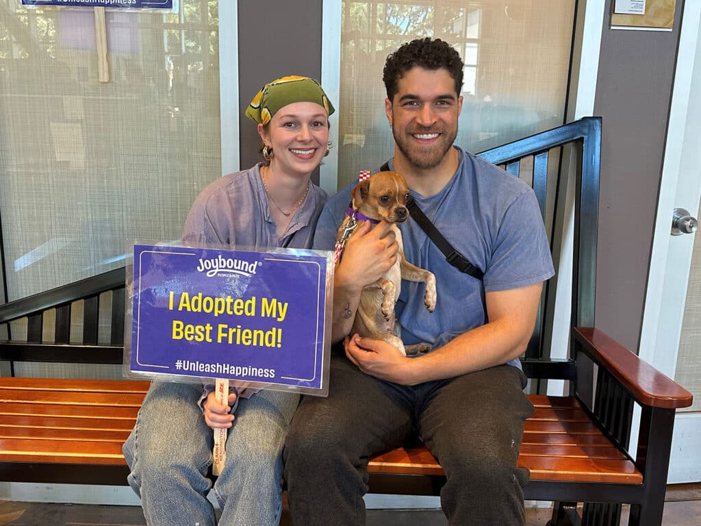 A woman in a green headscarf and a gray sweater holds a small dog while sitting next to a man in a blue shirt with a black strap. The woman is displaying a sign that reads, "I Adopted My Best Friend!" in a brightly lit indoor space.