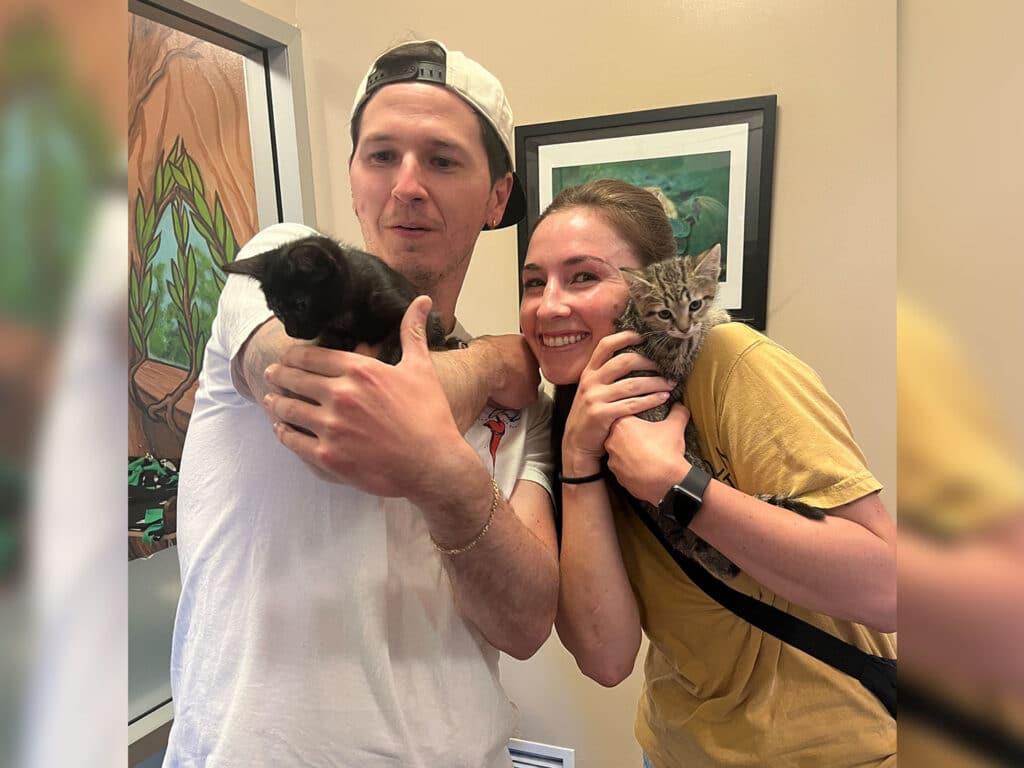 A man in a white shirt and baseball cap holds a black kitten, while a woman in a yellow shirt cuddles a gray tabby kitten. They are standing inside a room with light-colored walls and framed artwork in the background.
