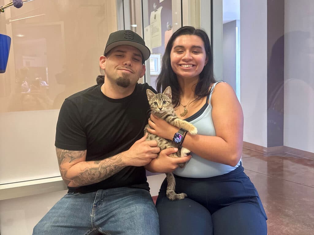 A man with tattoos wearing a black shirt and a cap sits beside a woman in a blue top, holding a gray tabby kitten. They are positioned in front of a glass wall, with soft light illuminating the scene.
