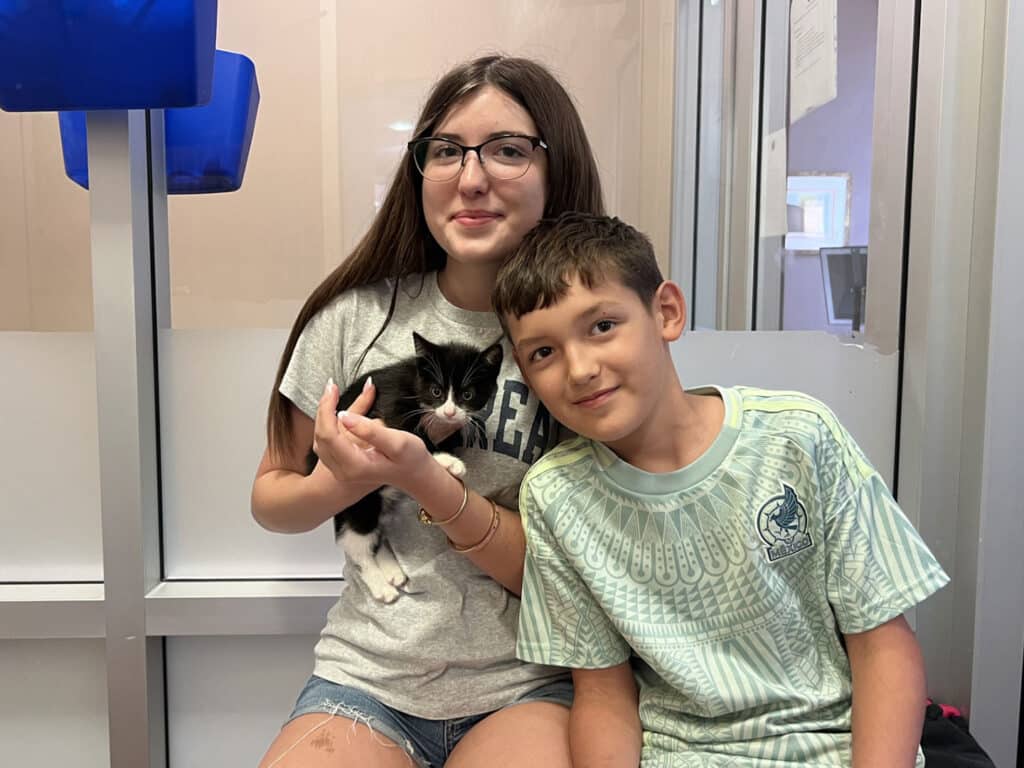 A girl with long brown hair wearing glasses holds a black and white kitten in her arms, sitting next to a boy with short brown hair wearing a green shirt. They are inside a shelter, with a wall of glass panes and blue crates in the background.