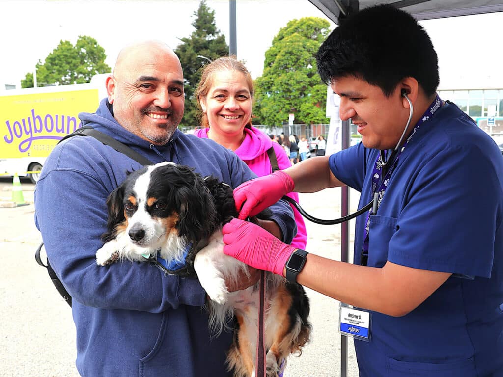 A man holding a small dog smiles as a veterinarian in scrubs listens to the dog's heart with a stethoscope. A woman stands behind them, watching. The setting includes trees and a van in the background.