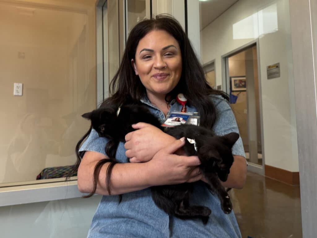 A woman with long dark hair wearing a blue denim shirt holds two black kittens in her arms. She is seated in a room with large windows and a light-colored wall in the background.