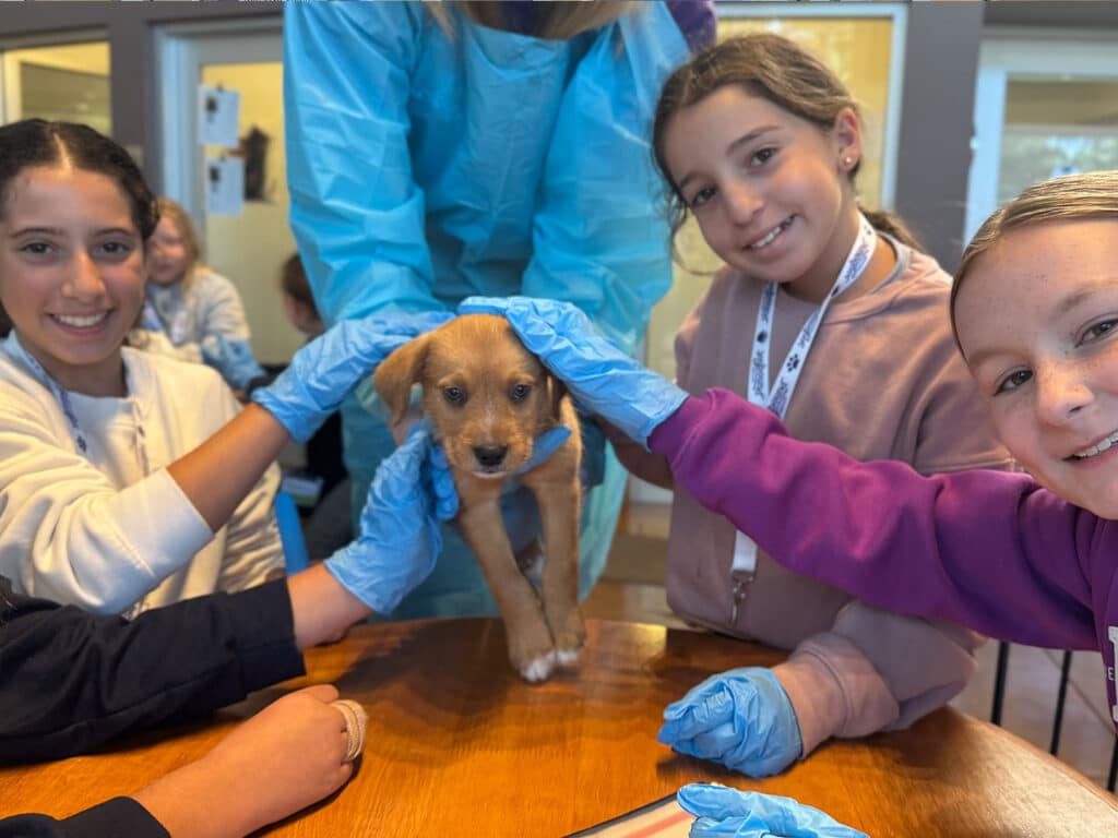 A group of three children, wearing gloves, gather around a small brown puppy on a wooden table. One child is gently holding the puppy while the others place their hands on it, and a woman in protective clothing is visible in the background.