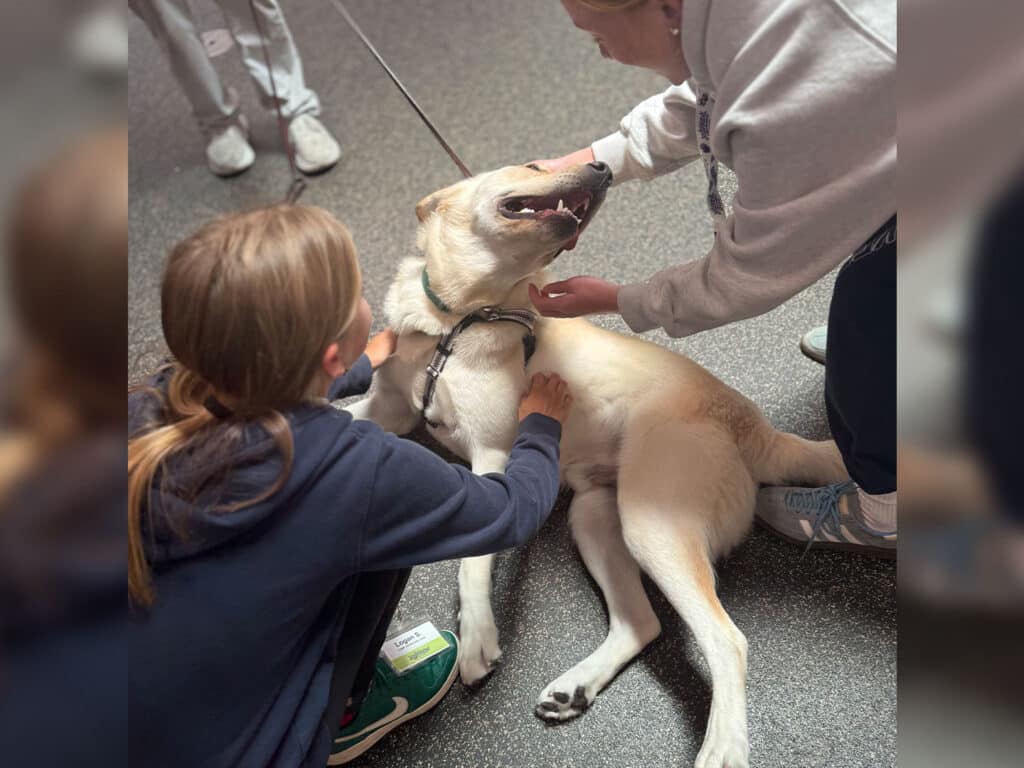 Two children pet a light-colored dog lying on the floor. One child is gently touching the dog's head, while the other is petting its side. The setting appears to be indoors, with other children visible in the background.