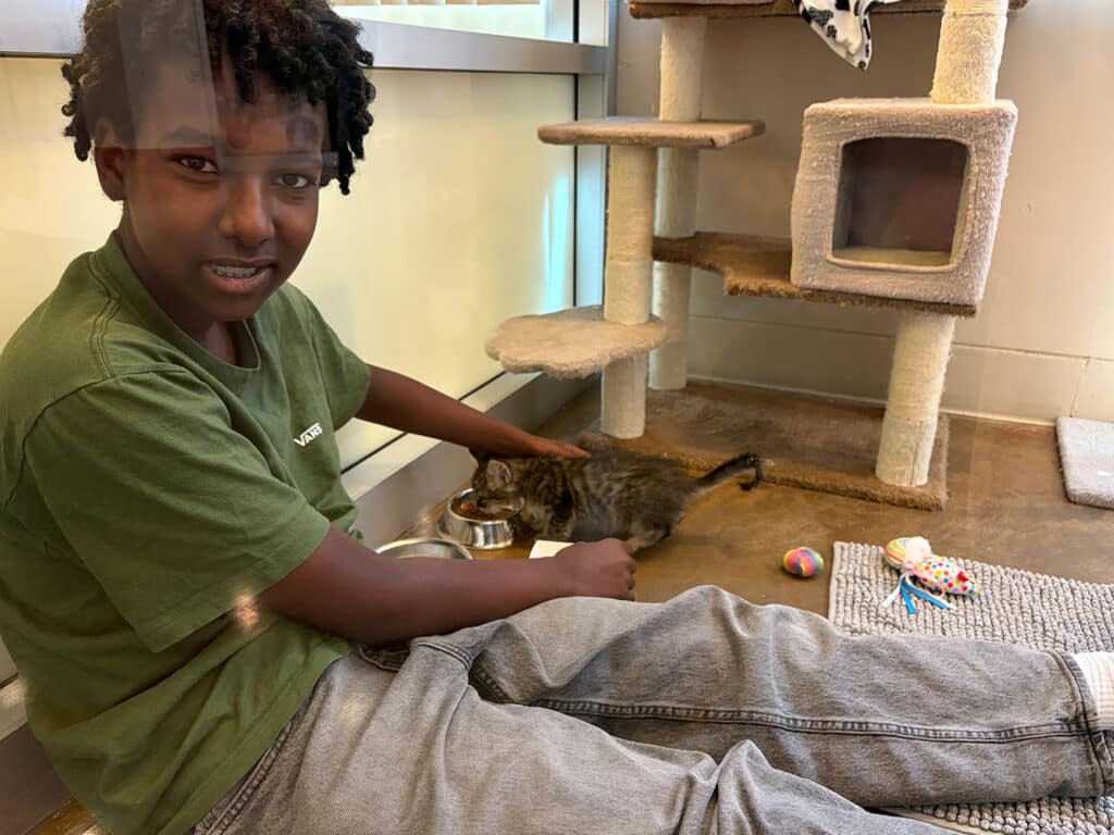 A boy wearing a green shirt sits on the floor next to a cat in a room filled with toys and a cat tree. He gently pets the cat while a food bowl is placed nearby. The scene has large windows allowing natural light in.