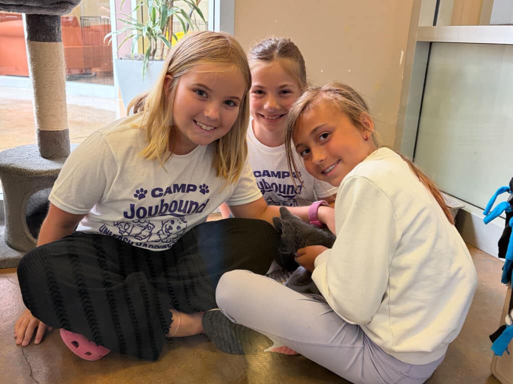 Three girls posing on the floor in a room, each wearing a white T-shirt with 'Camp Joybound' printed on it. One girl, cradling a grey kitten, sits in front of two others, while a scratching post and a window are visible in the background.