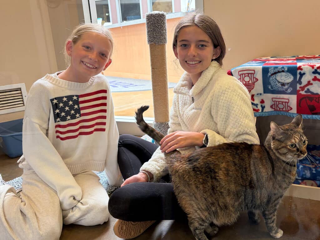 Two girls are sitting on the floor in a room with natural light. One girl wears a sweater with an American flag and the other wears a white fleece. A brown tabby cat is seated beside them, while a scratching post is visible in the background.