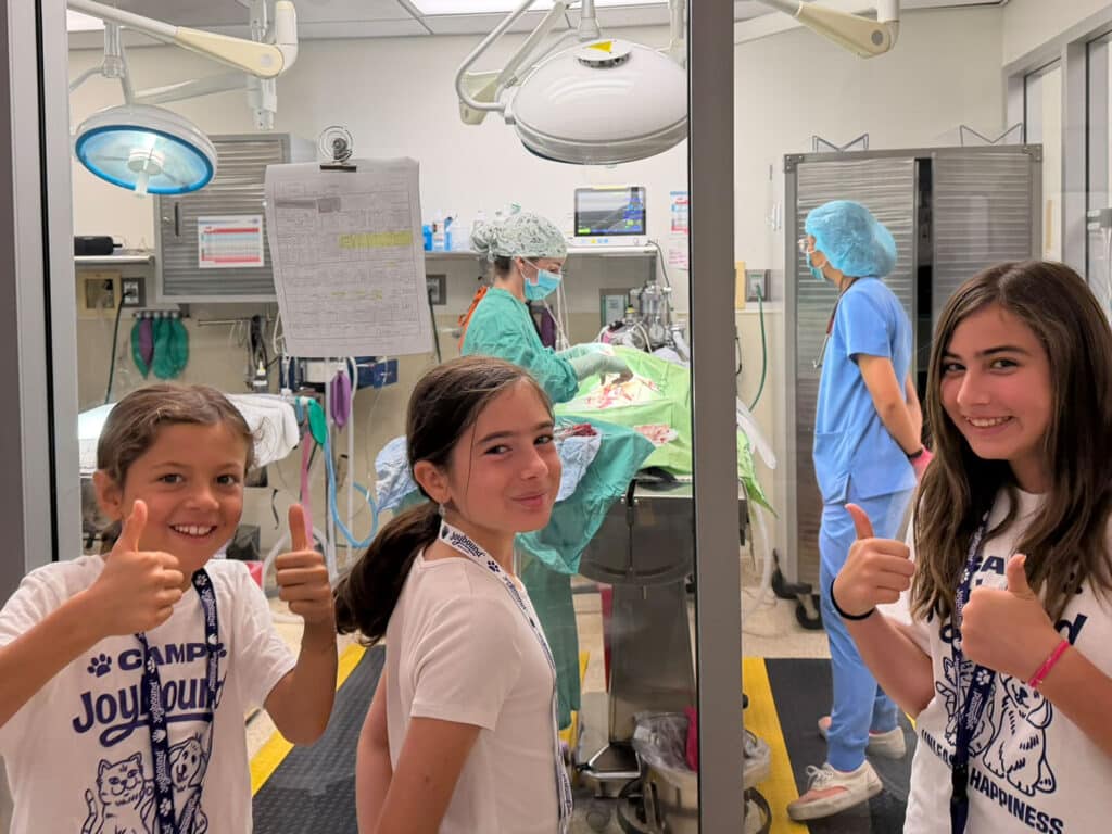 Three girls, all wearing Camp Joybound T-shirts, stand in front of a glass window giving thumbs up. In the background, a veterinarian in scrubs operates on an animal, with medical equipment visible in a room filled with bright light.