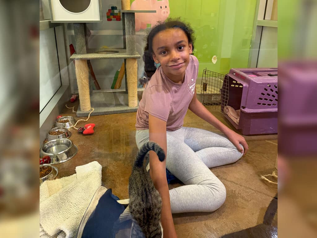 A girl with dark hair sits on the floor in a room designed for cats, playing with a gray tabby cat. Surrounding her are cat toys, food dishes, and colorful background decorations, including a cat tree.