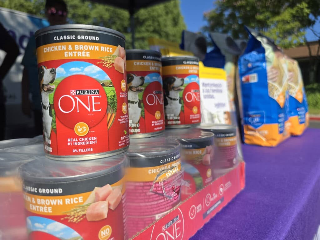 Cans of Purina ONE Classic Ground Chicken and Brown Rice dog food displayed on a table. The front of the cans features labels indicating real chicken as the primary ingredient, with additional bags of pet food visible in the background.