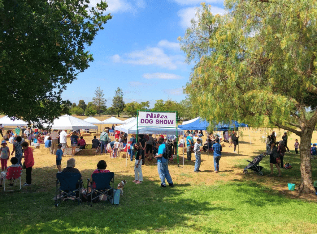 A crowd attending the Niles Dog Show in a grassy field. Various tents and booths are set up, with people standing and sitting, while trees and a blue sky with scattered clouds form the background.