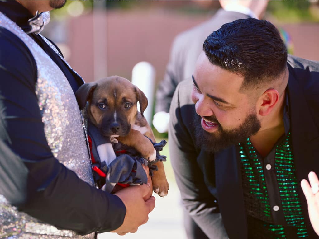 A man in a sequined vest holds a small puppy wrapped in a gray cloth, while another man in a black jacket leans in to admire the puppy. The background contains blurred figures and greenery, indicating an outdoor event.
