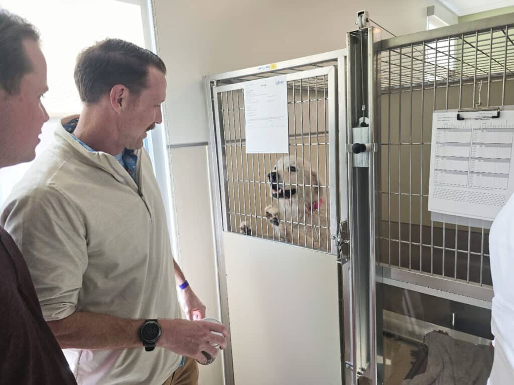 Two men observe a dog in a metal kennel at a pet shelter. The dog, wearing a pink collar, stands inside the kennel with its front paws resting on the bars, while the men stand outside, looking towards the dog.