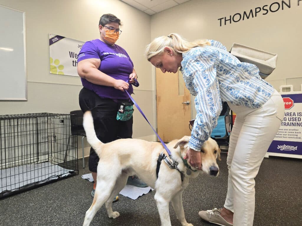 A woman in a light blue patterned blouse pets a yellow Labrador Retriever on a leash while another woman in a purple shirt and glasses observes nearby. The setting features a meeting room with a sign and a dog crate in the background.