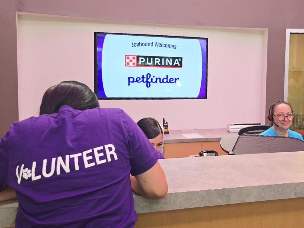 A woman wearing a purple shirt with 'VOLUNTEER' printed on the back leans on a reception desk. Two women are seated behind the desk, with a screen above displaying 'Joybound Welcomes PURINA petfinder.' The setting appears welcoming.