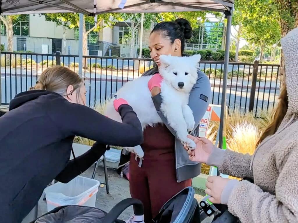 A woman holds a fluffy white dog while another person gently administers a vaccination. The setting includes a tent with the background showing trees and a fence, indicating an outdoor environment.