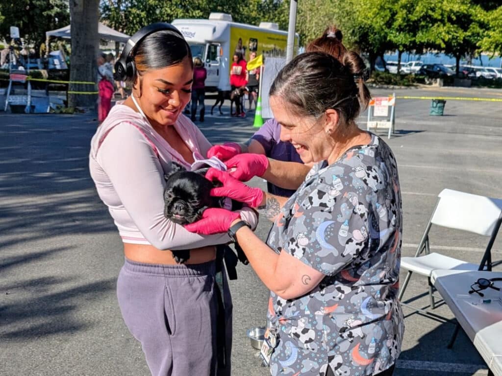 A woman in a pink and gray outfit holds a small black dog while a veterinarian in a patterned scrub top prepares to administer care. In the background, people gather near food trucks under natural light.