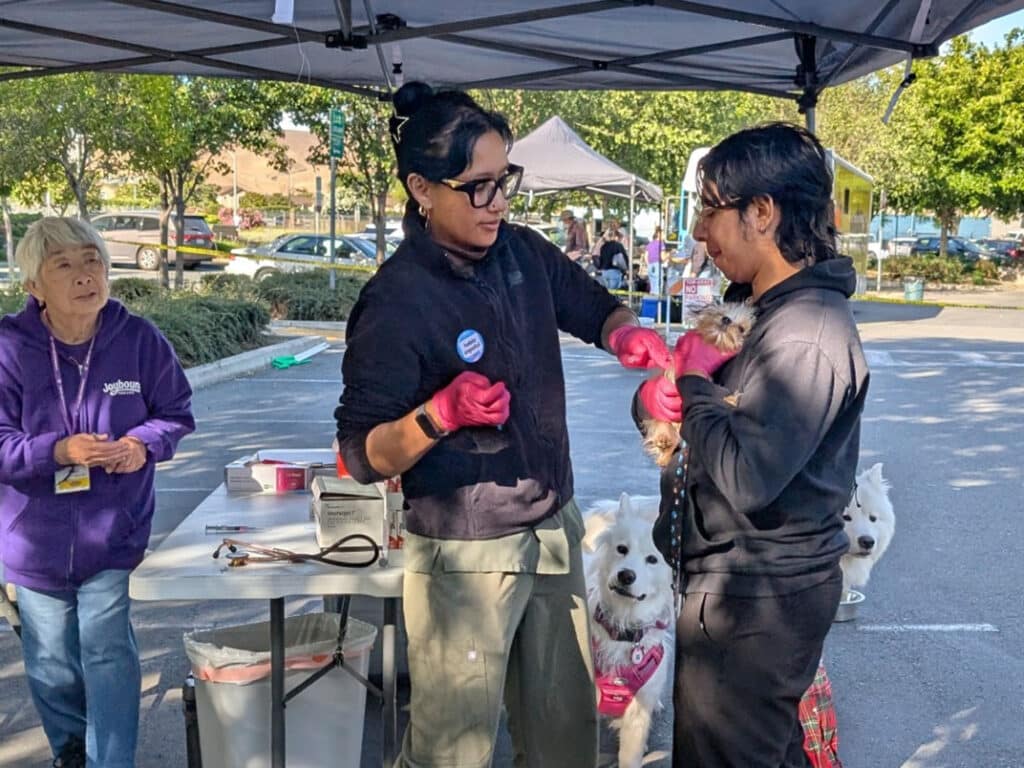 A woman wearing glasses and a black outfit administers a vaccination to a small dog held by another woman in a black sweater. In the background, two dogs and people are seen under a tent, with trees and vehicles in a parking lot.