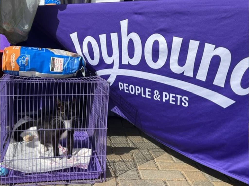 A small black and white kitten sits inside a purple wire cage on a table. The cage is placed in front of a purple tablecloth that features the logo "Joybound People & Pets" in white lettering, alongside bags of pet food.