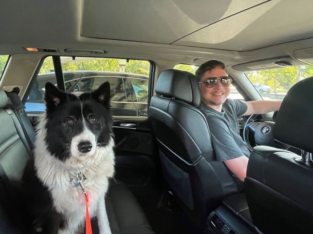 A black and white dog sits in the back seat of a car next to a man wearing sunglasses and a gray shirt, who is seated in the driver's seat. The interior of the car features black leather seats and sunlight coming from the front windows.
