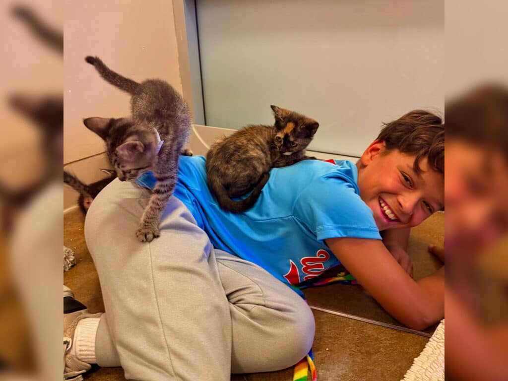 A boy wearing a blue shirt and gray sweatpants lies on the floor with two kittens climbing on his back. One kitten is gray and the other is brown with spots. The background is minimal, with a light-colored wall and smooth flooring.