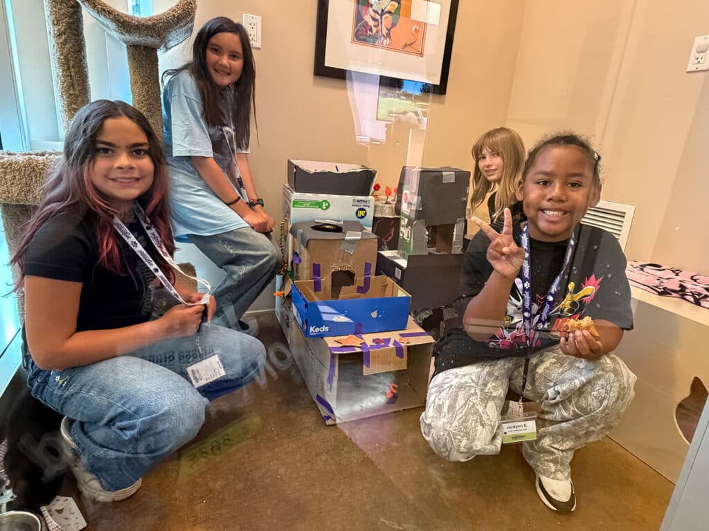 Four girls gathered around a structure made from cardboard at a camp activity. The girls are sitting on the floor; two are smiling while one holds up a peace sign. The background includes large windows and a wall with artwork.